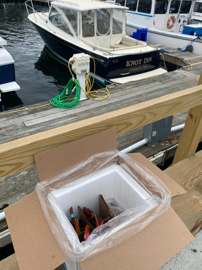 活缅因龙虾 - 优质硬壳 - 新鲜海鲜盒运送